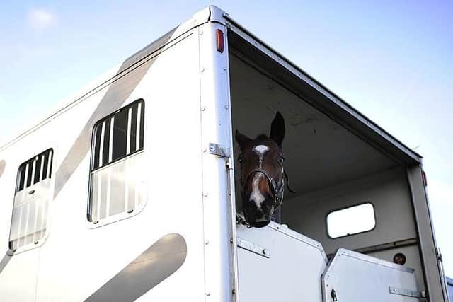General image of a horse in a horsebox (from Swindon, December 8, 2013, Alan Crowhurst/Getty Images)