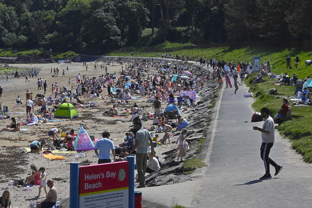 Council tackles litter at Northern Ireland coastal beauty spots