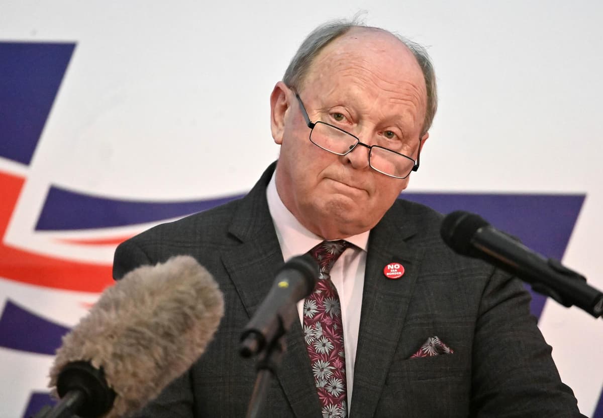 DUP's decision to appoint a panel to consult views on the protocol has been mocked by Jim Allister