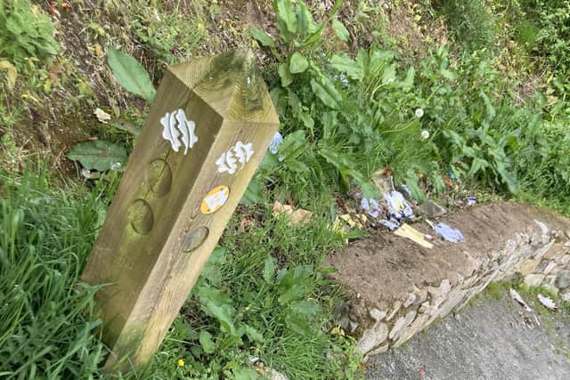Litter on the woodland trail in Newry