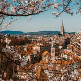 The cherry blossom in Bern, Switzerland