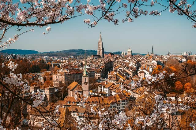 The cherry blossom in Bern, Switzerland