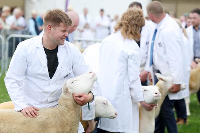 Day two of the Balmoral Show in partnership with Ulster Bank. Photo: Jonathan Porter/Press Eye