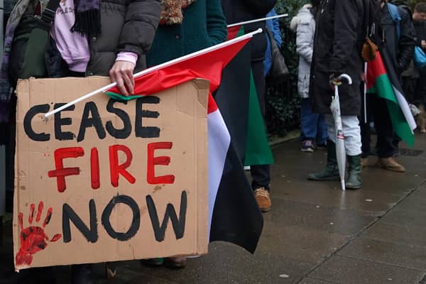 Calls for an unconditional ceasefire in Gaza are calls 'for the complete annihilation of Israel’, writes Ruth Dudley Edwards