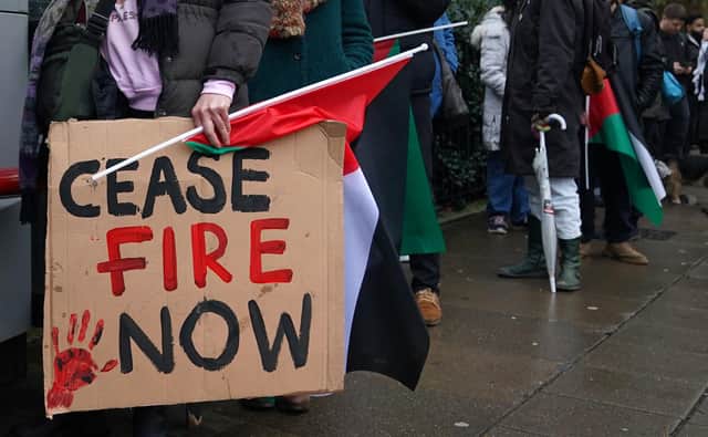 Calls for an unconditional ceasefire in Gaza are calls 'for the complete annihilation of Israel’, writes Ruth Dudley Edwards