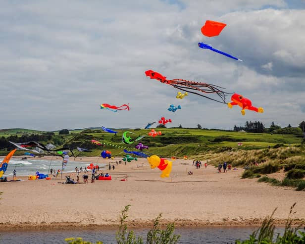 A large kite display on Ballycastle beach, which has been named Northern Ireland's top beach by The Times and Sunday Times