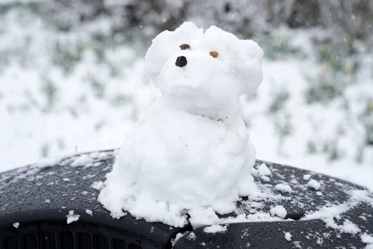 Met Office issues Yellow Weather Warning for snow and ice in Northern Ireland