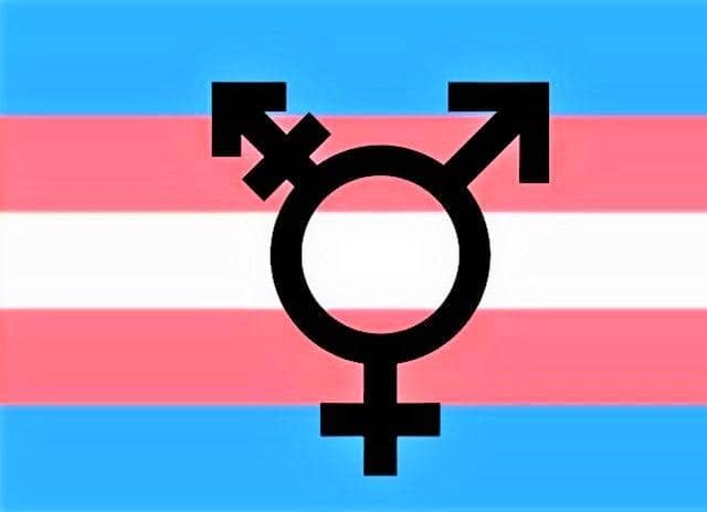 One of the flags and symbols used by the transgender movement
