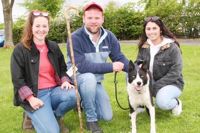 A family affair -  Dewi Jenkins with his 14,000gns top price Skipton working sheep dog, Llwynsarn Non, joined by sister Sara Jenkinson, left, and girlfriend Sara Lewis. Picture: Robin Moule, Moule Media
