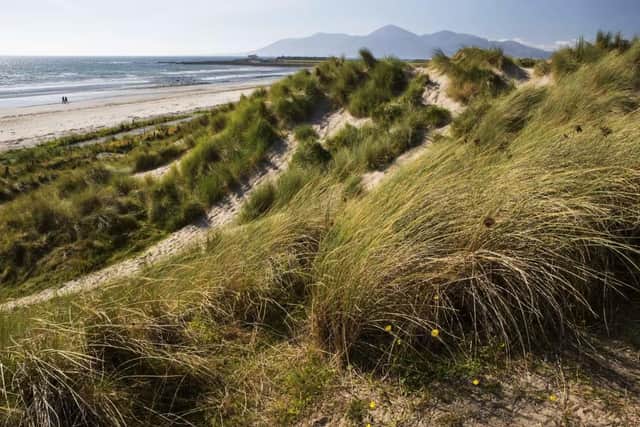 Tyrella Beach in Co Down has been judged the best in Northern Ireland in a UK-wide guide. Photo: Discover Northern Ireland