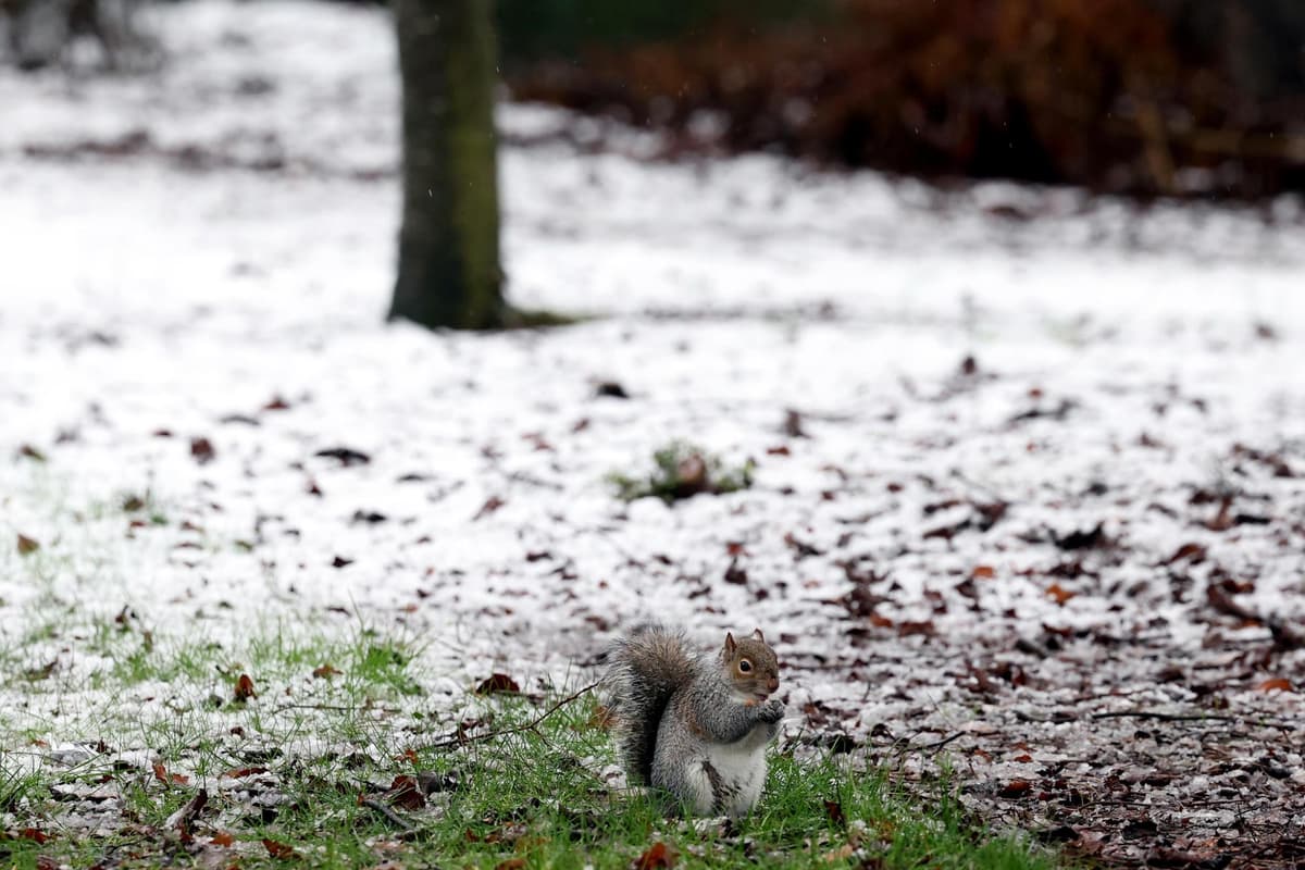 It's snow joke when the Met Office confirm wintry showers, sleet and snow to fall later this week