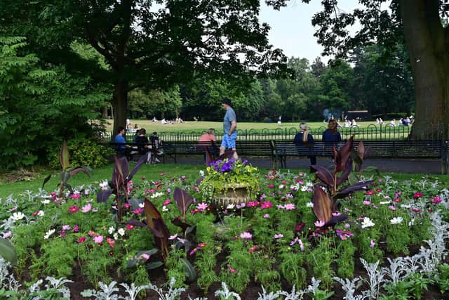 Botanic Gardens in Belfast during the June heatwave, when temperatures exceeded 25C; the new figures from the Met Office show that, overall, 2023 was Northern Ireland's warmest on record - but was wetter and duller than usual