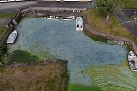 Blue-green algae at Battery Harbour on Lough Neagh near Cookstown in Co Tyrone on August 25, 2025.