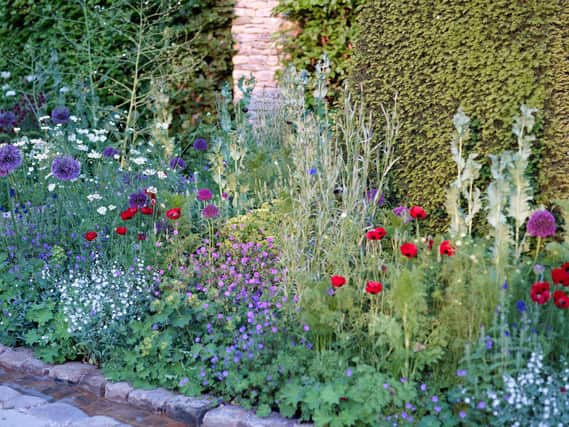 Lots of plants can help create a low-carbon garden
