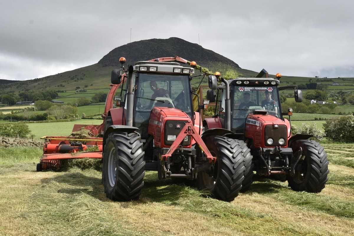 Watch: Ryan McMullan chopping grass in the Braid Valley, thanks to William Logan for these pics and video