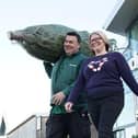 Dobbies’ colleague helping a customer pick out a Christmas tree