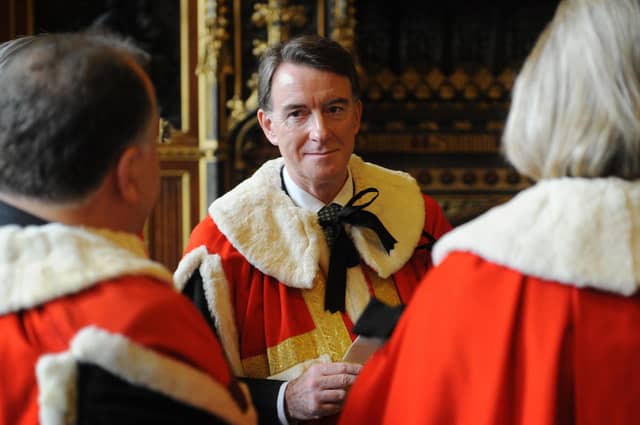 Peter Mandelson retired from House of Lords earlier this week amid controversy over his links to Jeffrey Epstein
