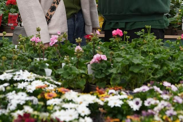 Dobbies’ Green Team will be on hand at July’s Grow How workshops