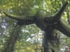 Council removes 'witchcraft deity' name from 'scary statue' in Hillsborough Forest Park