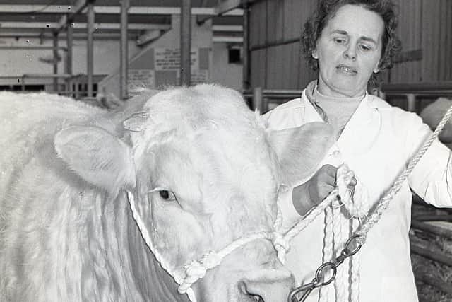 Pictured in March 1983 is Mrs Lila McAskie from Omagh, with one of her husband’s Charolais bulls at a Charolais show and sale which was held at the Automart, Portadown. Picture: News Letter archives/Darryl Armitage