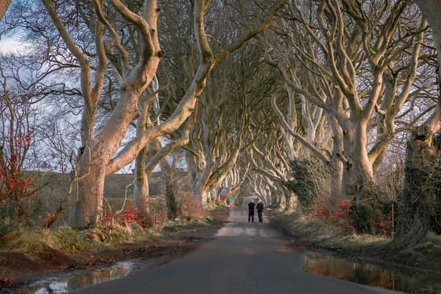The Dark Hedges is the third most popular filming location in Northern Ireland, according to the new study
