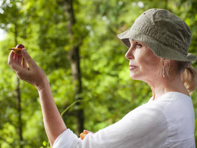 Joanna Lumley holding a harvested nutmeg kernel in a nutmeg forest in Banda, a remote Indonesian island