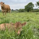 New research has accused the government of not doing enough to support sustainable farming