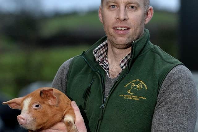Robbie Neill has developed a unique feeding regime for his pedigree pigs that’s producing delicious flavours that are attracting the attention of top chefs and retailers