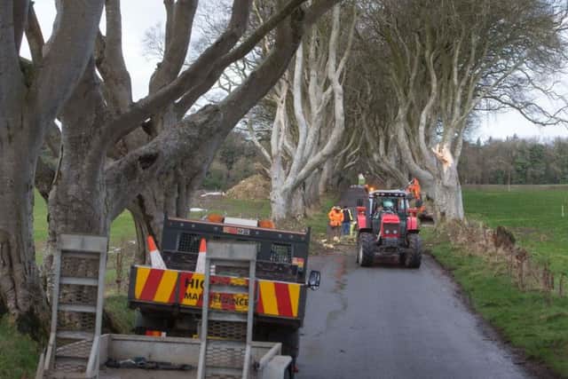 Workmen clear a fallen tree from the Dark Hedges in County Antrim, after the tree-lined avenue was damaged in Storm Doris.