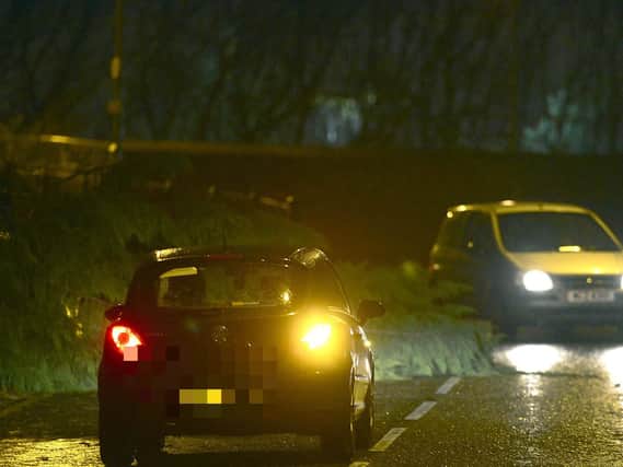 Storm Eleanor: A fallen tree in Belfast this evening