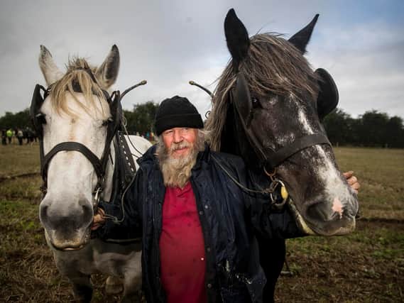 Jerry Dennehy from Tralee with his horses Mutt and Geoff during the Irish 2018 National Ploughing Championship in Tullamore, Co. Offaly, Ireland.
