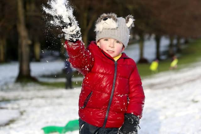 Five-year-old Jack enjoying the recent snow fall at Stormont in east Belfast.
 Pic: Matt Mackey / Presseye.com