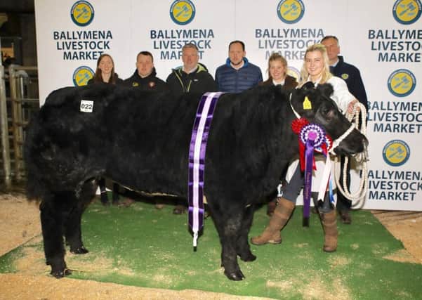 Conn family are pictured with supreme champion, Gleno Valley YFC members, Judge Keith Williamson and Bank of Ireland