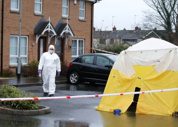 The scene at Mornington housing development in Lisburn investigation following the death of a woman at a property in Lisburn.
 Photo: Kelvin Boyes / Press Eye