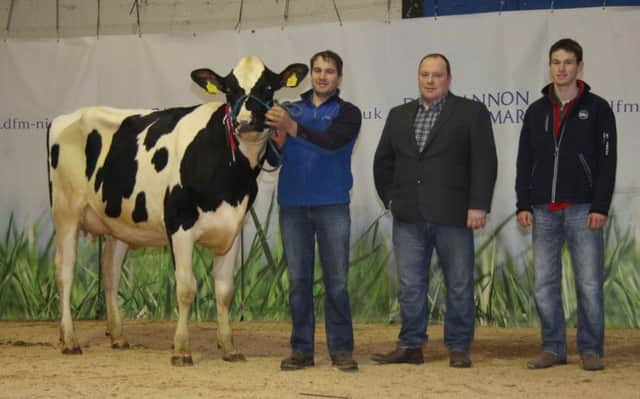David and Aaron Haffey, Lurgan, exhibited the champion Kilvergan Silver Blackie at Holstein NI's December show and sale in Dungannon. Included is judge Richard Charles, Cookstown.