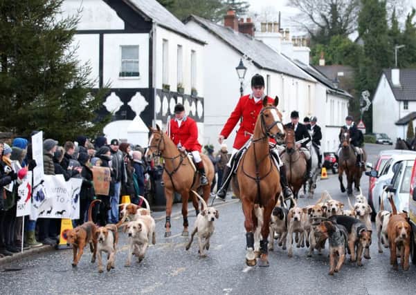 Protestors stage a New Year's Day protest in opposition to a drag hunt taking place in a Crawfordsburn, Co Down.


Photo by Kelvin Boyes  / Press Eye