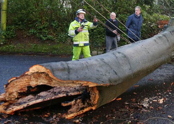 The scene at Newforge Lane in south Belfast where NIE are dealing with downed power cables after a tree fell over due to Storm Eleanor  with after winds gusting up to 100 miles per hour have caused flooding, damage to buildings and travel disruption across Northern Ireland overnight.

Picture by Jonathan Porter/PressEye