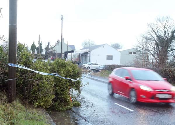 A tree blocks the Ballygowan Road in Co Down.

Picture by Jonathan Porter/PressEye
