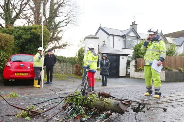 The scene at New Forge Lane in south Belfast where NIE dealt with downed power cables after a tree fell over due to Storm Eleanor.

Picture by Jonathan Porter/PressEye