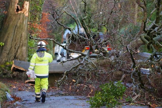 The scene at New Forge Lane in south Belfast where NIE dealt with downed power cables after a tree fell over due to Storm Eleanor.  Picture by Jonathan Porter/PressEye