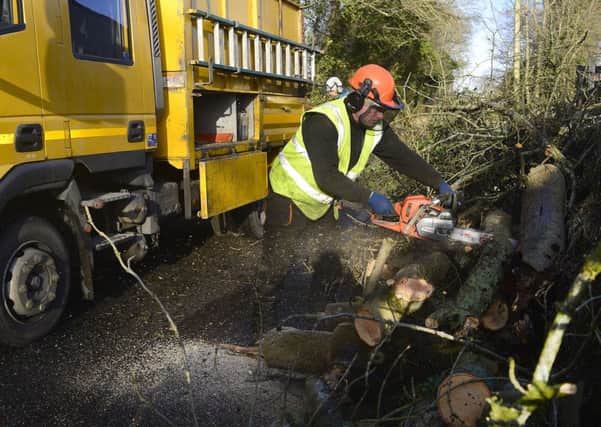 Workmen clear away fallen trees in Carrickfergus and Greenisland outside Belfast.
Picture By: Arthur Allison/Pacemaker Press