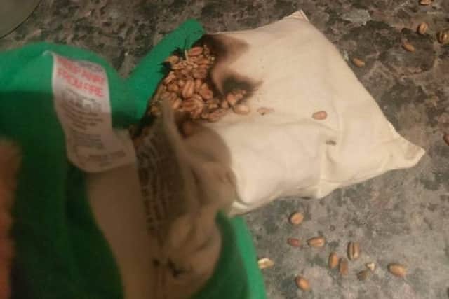 The damage to the Wheat bag