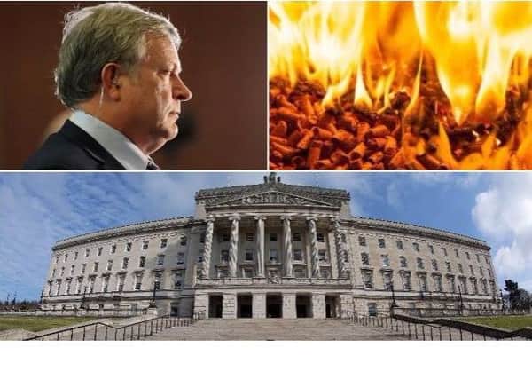 Patsy McGlone, the former chairman of Stormont's Enterprise Trade and Investment (ETI) Committee - which was tasked with scrutinising proposed legislation for the RHI scheme - said government officials never advised members about the less costly option.