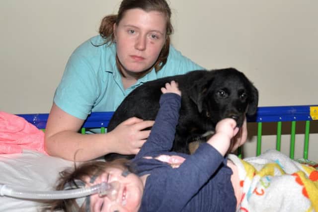 Little Abigail Reaney (2) with her mum, Jane and pet dog, Storm. INPT02-210.