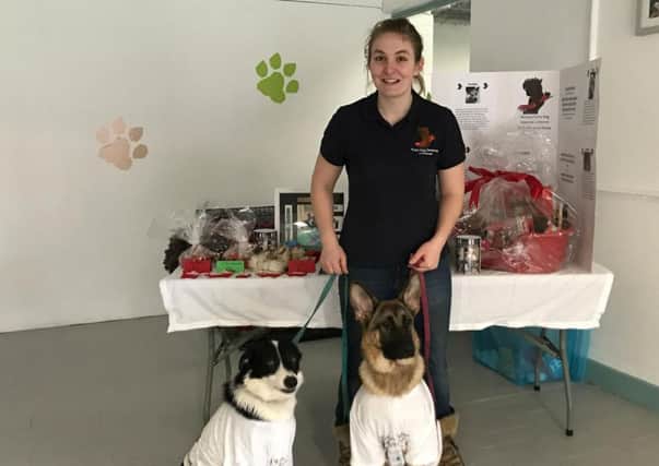 Doggy 911 founder Gabrielle Gardiner with her dogs Sam and Charlie.