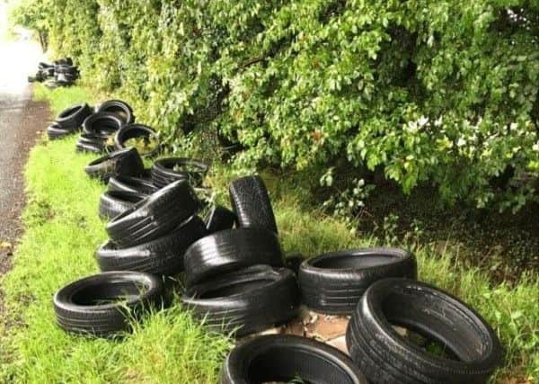 Tyres dumped along the side of Whitemountain Road.