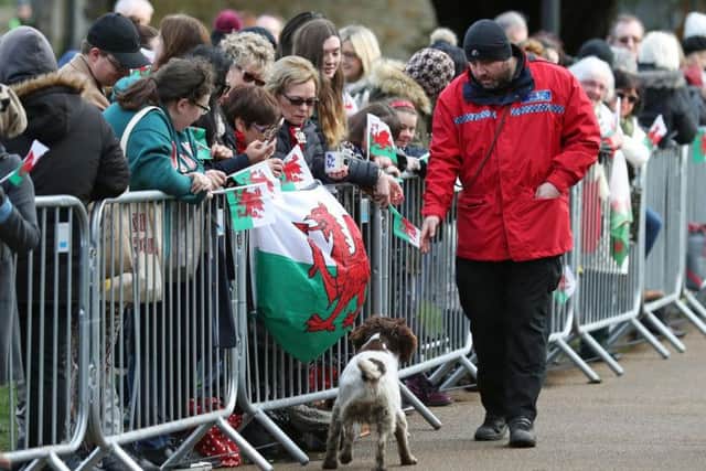 A police sniffer dog at work in front of members of the public awaiting the arrival of Prince Harry and Meghan Markle at Cardiff Castle.