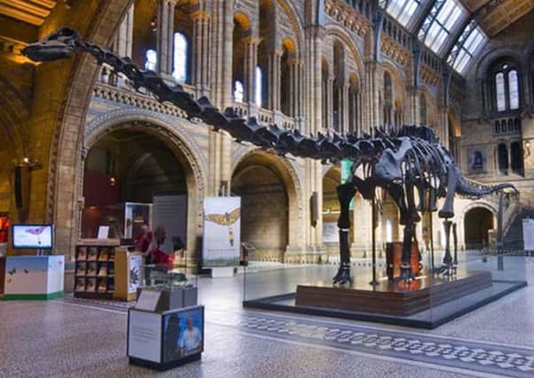 Natural History Museum undated handout photo of Dippy the Diplodocus, which is beginning its tour of the UK. Photo: PA