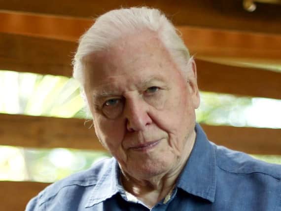Sir David Attenborough, who will present a new five-part landmark series following the lives of different animals, which will air on BBC One later this year