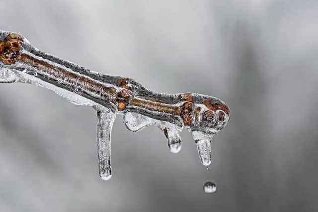 Bitterly cold